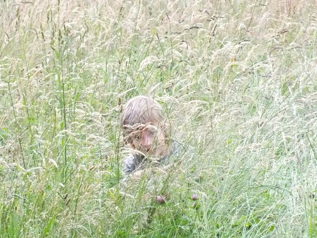 "Verstecken im Gras"