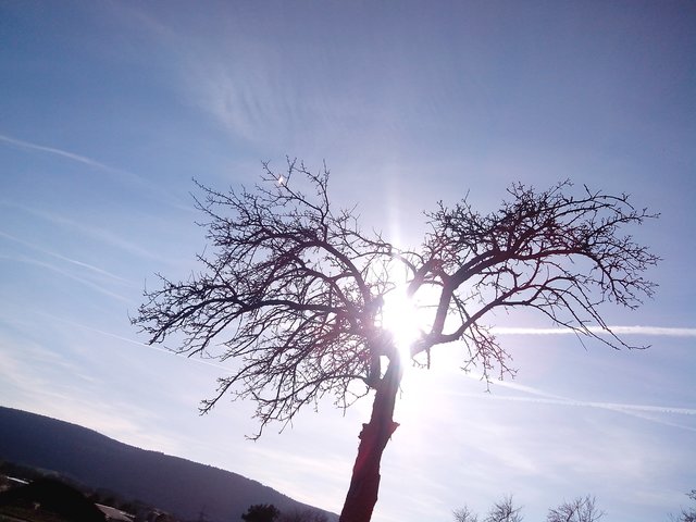 einfach mal nur die sonne genossen