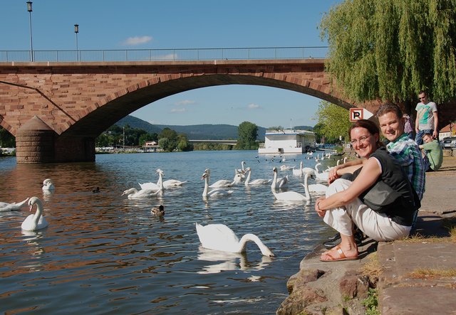 Erholung am Mainufer