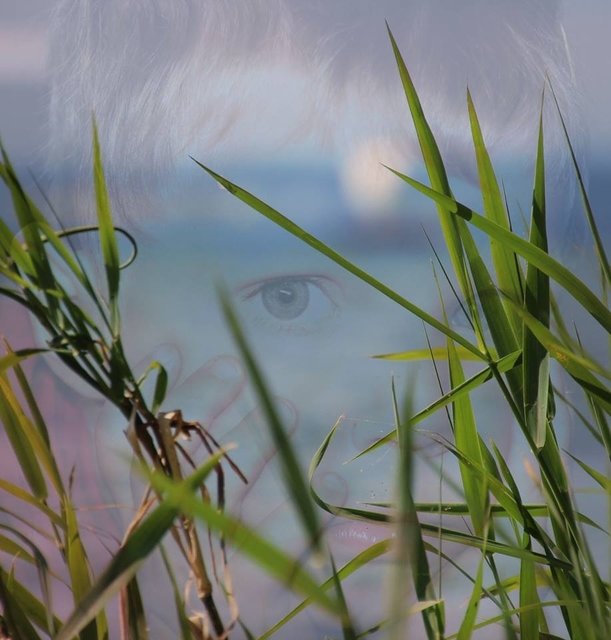 Der Blick zum Bodensee