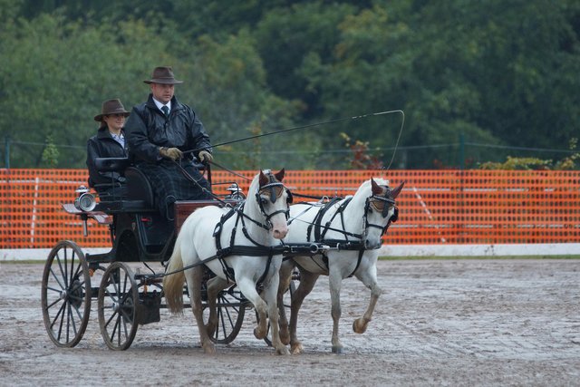 Trotz gelegentlichem Regen am Freitagnachmittag ( 12.09.2014) ein super Start für die Bayerischen Meisterschaften in Kleinwallstadt-Hausen.