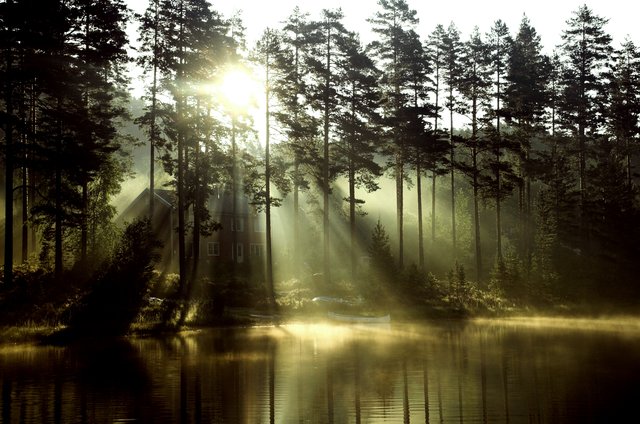 Morgenstimmung auf einem See in Südnorwegen - dafür lohnt es sich das früh aufzustehen