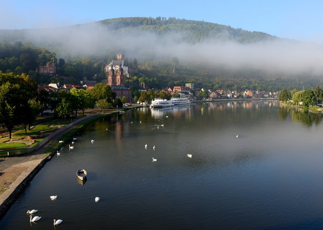Früh am Tag