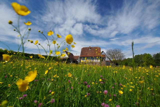 Freier Mitarbeiter des news verlags. Diese Aufnahme nimmt nicht am Wettbewerb teil. MitarbeiterRomantischer Odenwald: Man meint, die Zeit sei stehengeblieben. Gesehen in Walldürn-Gottersdorf