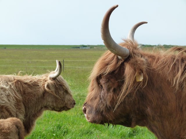 Ich und Du .....