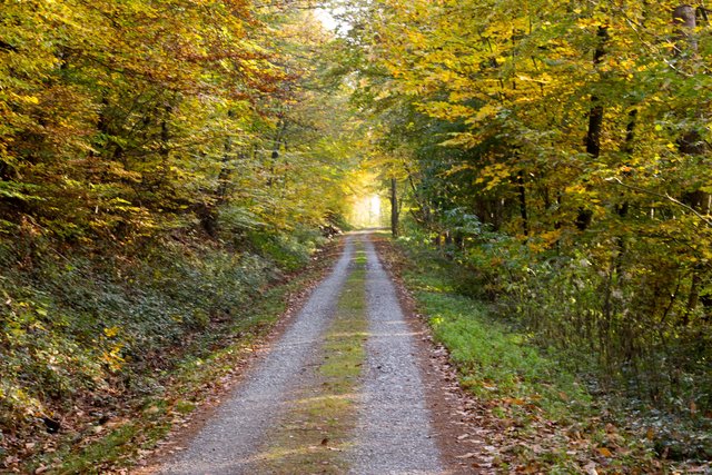 Licht am Ende des Tunnels