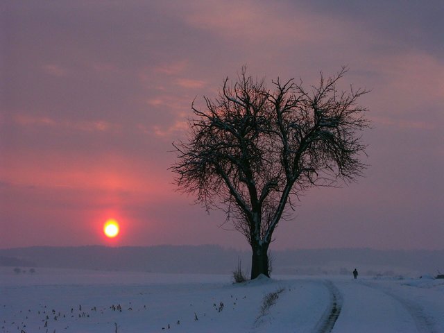 Winterlicher Abendspaziergang zwischen Miltenberg-Schippach und Eichenbühl-Heppdiel. Foto Roland Schönmüller