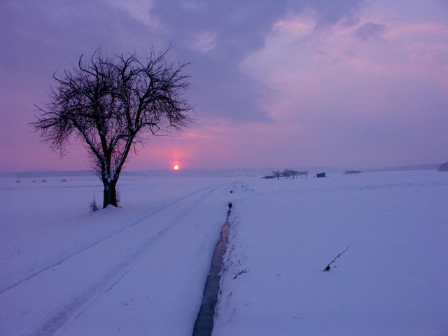 Winterabend im Odenwald.