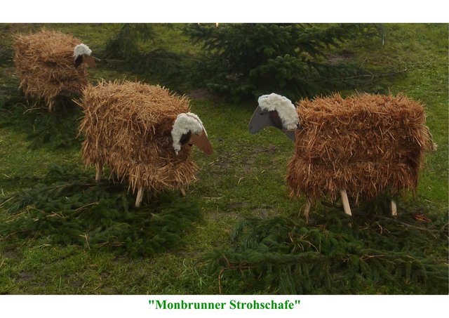 Schafe für den Vorgarten