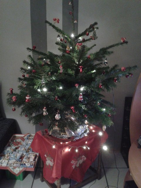 Unser kleines, aber feines Bäumchen