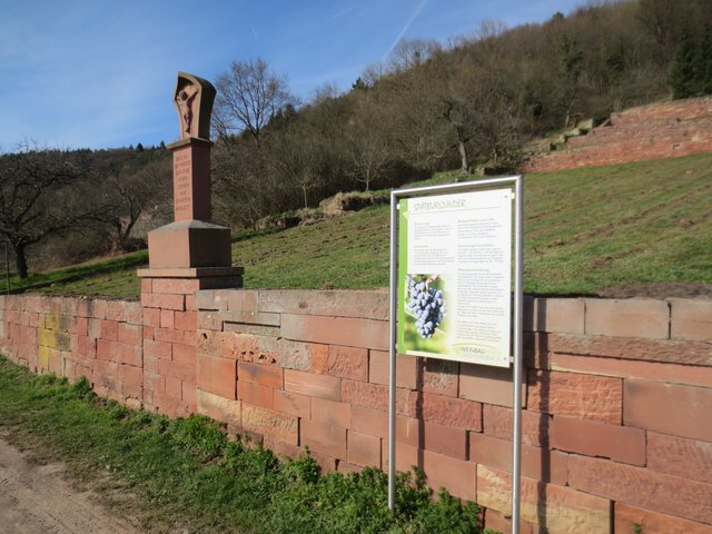 Weiter entlang des Rotwein-Wanderweges von Großheubach Richtung Miltenberg