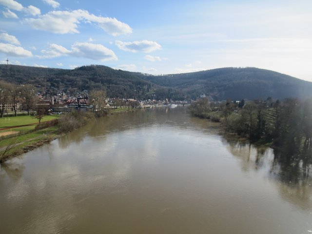 Main - Herrlicher Blick von der Martinsbrücke