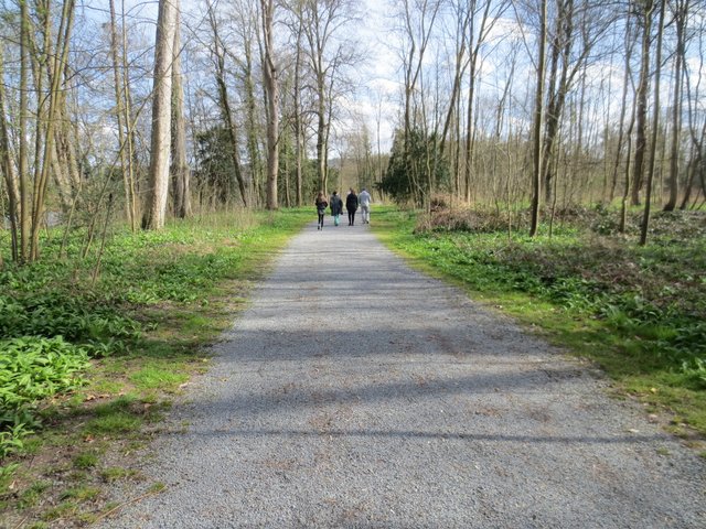 Schlosspark in Kleinheubach