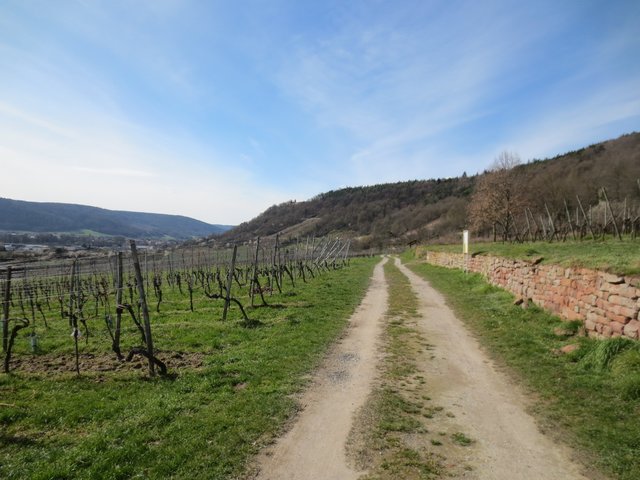 Rotwein-Wanderweg
