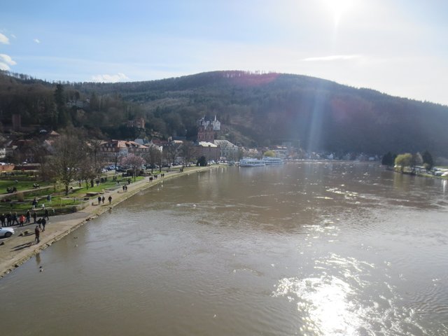 Wundervoller Mainblick von der "alten Miltenberger Brücke"