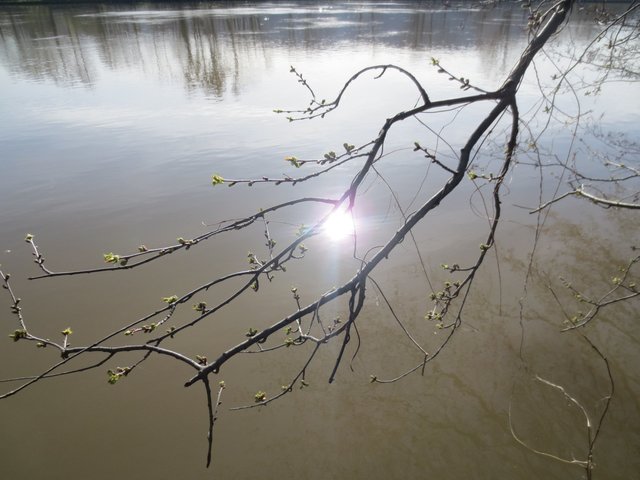 Nicht mehr lange und die Natur erwacht.