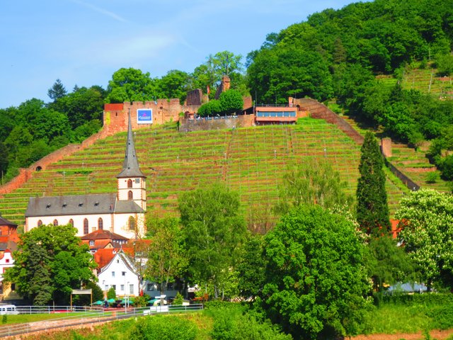 Die Clingenburg im Blick