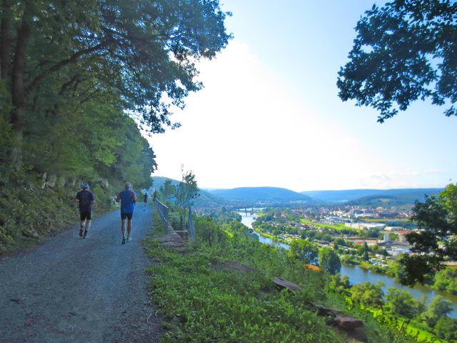 Laufen mit wunderschönem Blick auf das Maintal