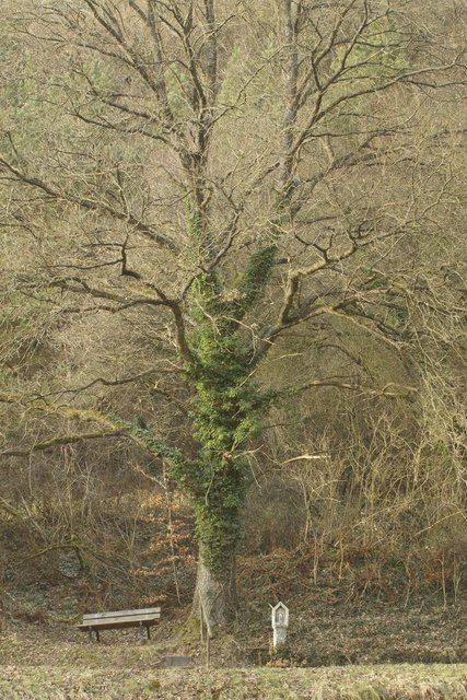 Bildstock zwischen Weilbach und Reuenthal.