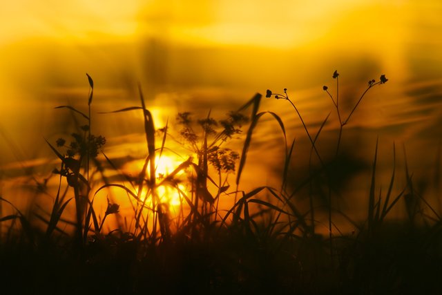 Nur noch wenige Sekunden und ein sonniger Sommertag geht zu Ende!