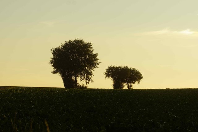"Sound of Silence" in der Odenwälder Flur.