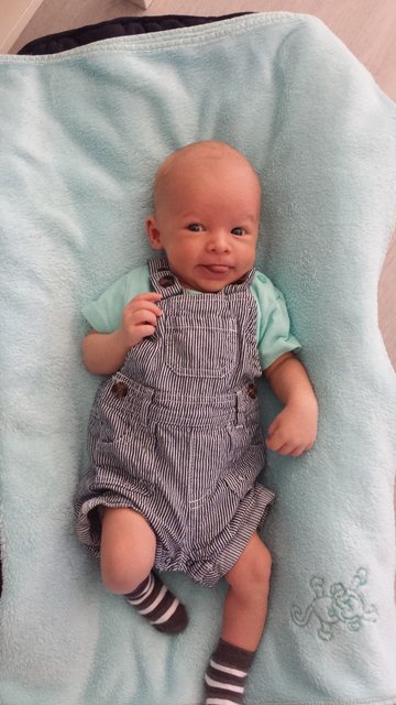 Paul 03.06.2015