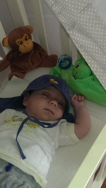 Luca 13.03.2015