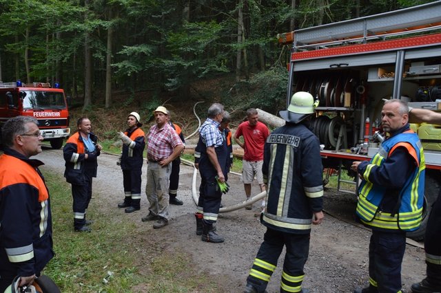 Waldbrand in Berndiel