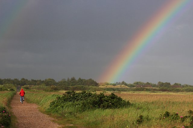 Nasse Überraschung - Nach dem großen Regen