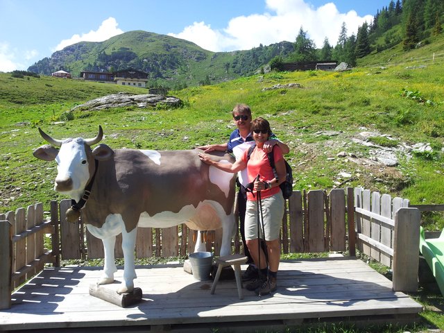 Kuh zum Melken
