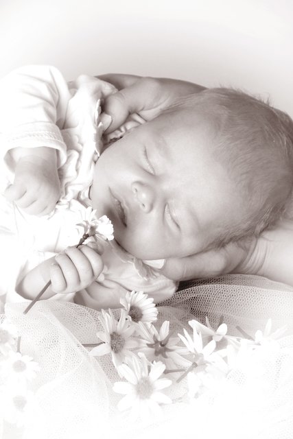 Frieda-Marie, 16.07.2015