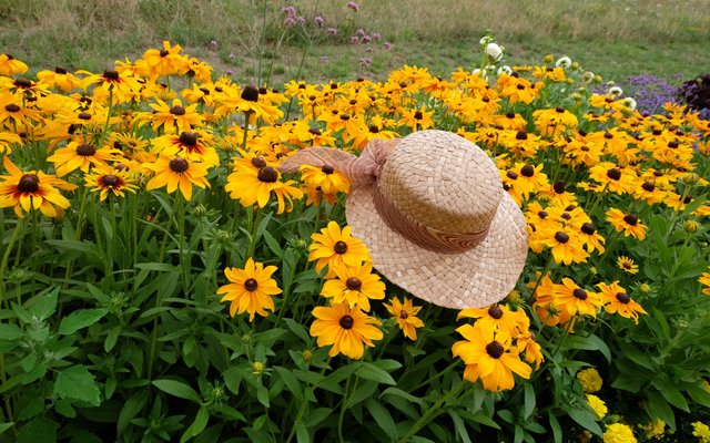 "Sommerhut küsst Sommerhut"