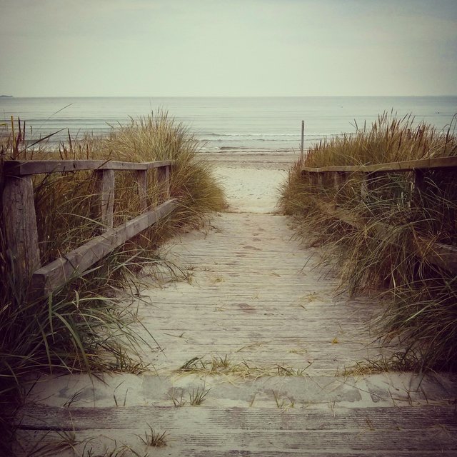 Weg durch die Dünen bei Scharbeutz