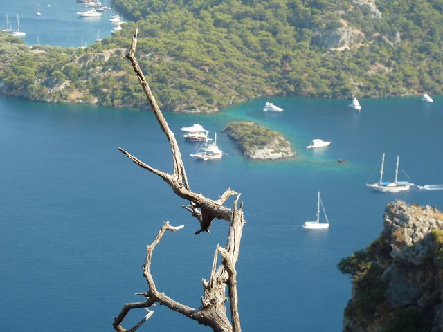 Die Bucht