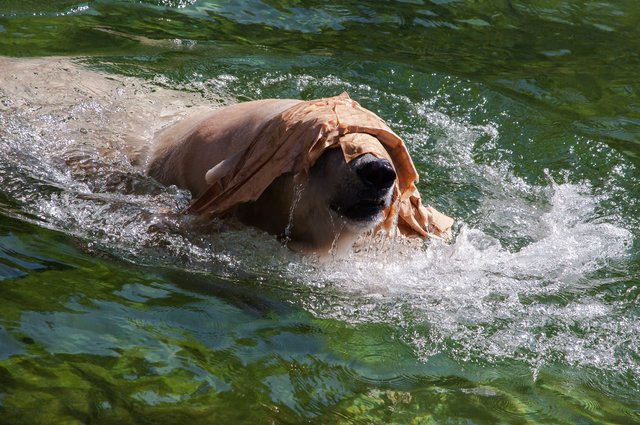 Keep Cool