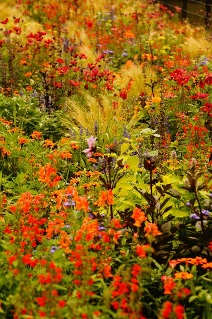 Kunterbunt