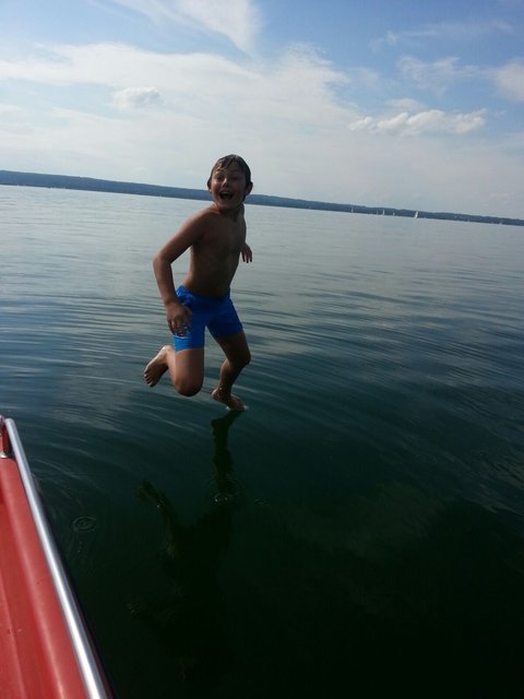 Der Wasserläufer vom Ammersee