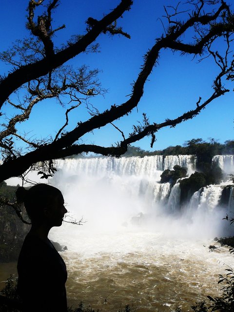 Iguacu-Wasserfälle in Brasilien