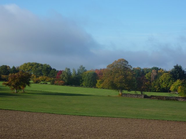 Herbstfarben - die Natur zeigt sich in einer einzigartigen Farbenpracht