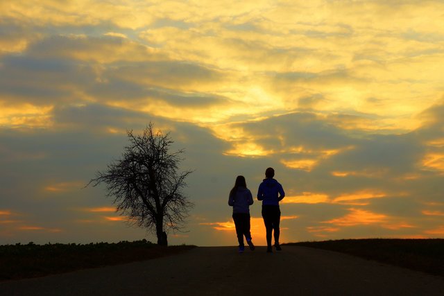 Abenddämmerung im Odenwald