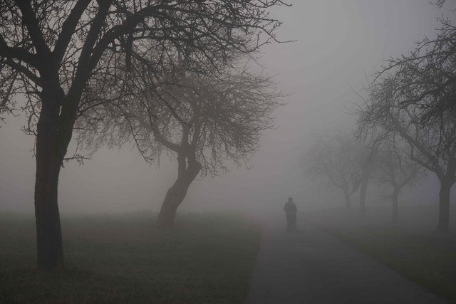 Im Nebel unterwegs.