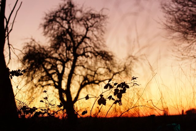 Winterabend.