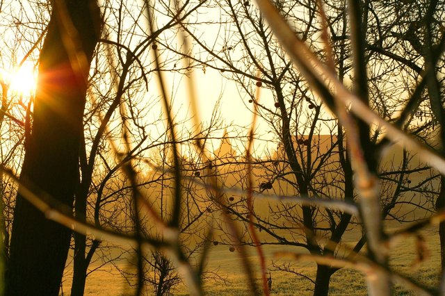 Wintersonne.