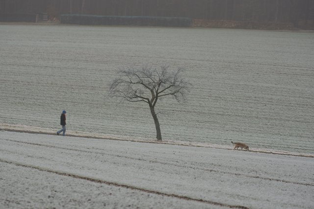 Spätestens im Februar stürmt und schneit es wieder.