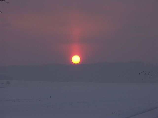 Wintersonne.