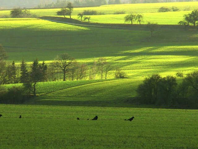 Vorfrühling in Sicht?