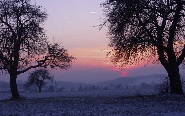 Das alte Jahr verabschiedet sich: Wintersonne bei Miltenberg-Wenschdorf.