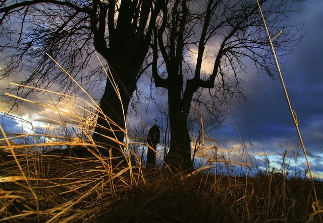 Rauchnacht im Spessart.