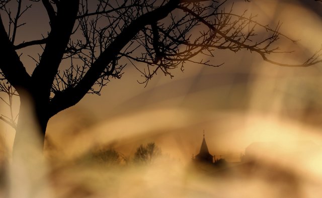 Morgen-Wintersonne bei Heppdiel, Landkreis Miltenberg.