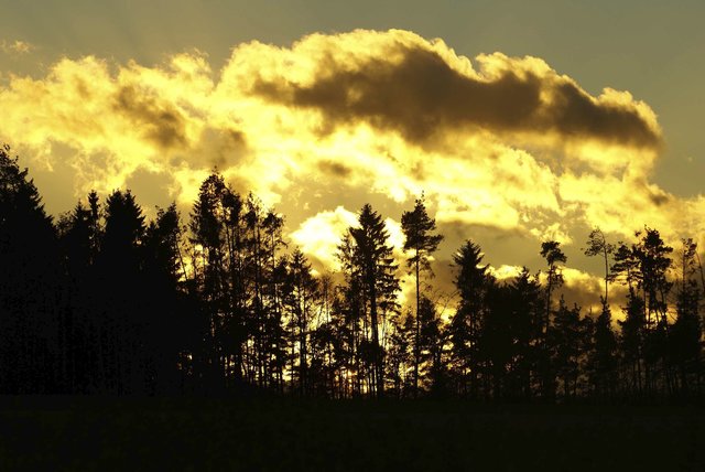 Wintersonne.